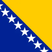 Bosnian flag
